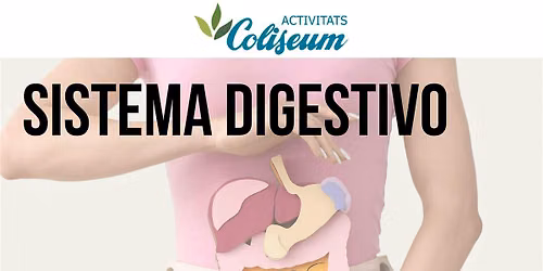 La salud comienza en el sistema digestivo