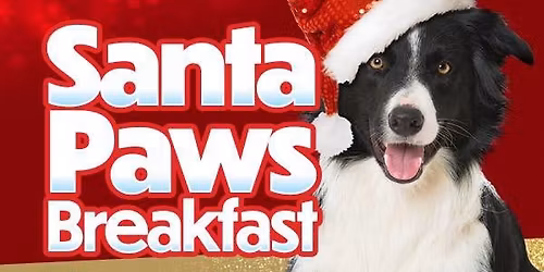 Christmas Fun For Your Pooches