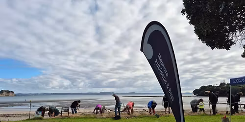Community Weeding Session - Big Manly Beach