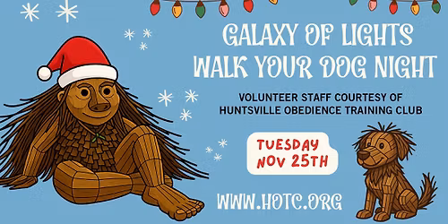 Galaxy of Lights Walk Your Dog Night