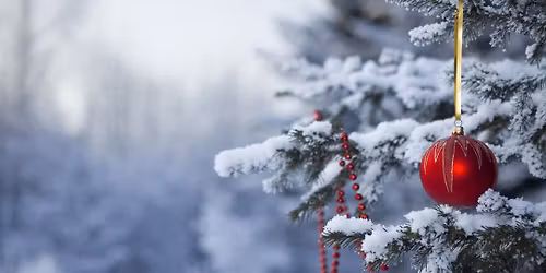 Womens' Annual Solstice Giveaway