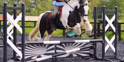 OPEN Showjumping Competition (DAY)