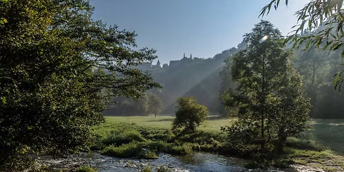 Wanderung mit der Gebietsbetreuung Taubertal und Ranger im Steinbachtal