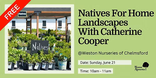 Natives for Home Landscapes At Weston Nurseries of Chelmsford