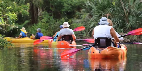 Guided Kayak Excursion
