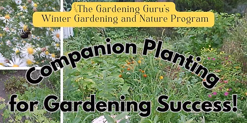 The Gardening Guru presents: Companion Planting for Gardening Success