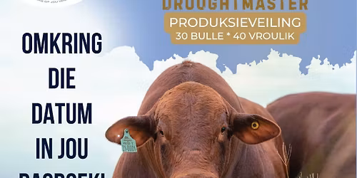 Waterford, Chan-Te-Mar, Werda Droughtmaster Auction 