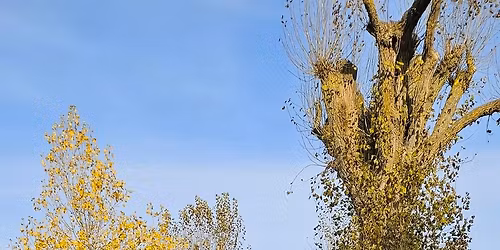 3 l\u00e4tta mil p\u00e5 cykel i utkanten av Link\u00f6ping