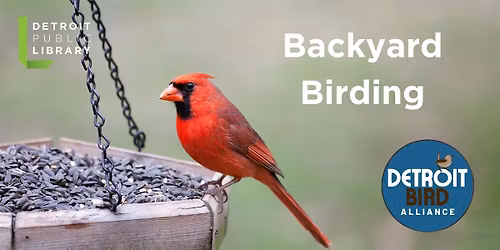 Backyard Birding with the Detroit Bird Alliance