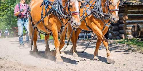 Horsepower Days