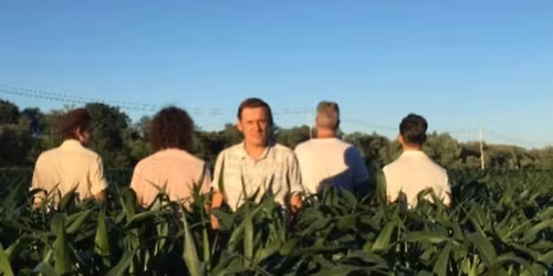 Billy the Squid NYE show \ud83c\udf8a\ud83c\udf89