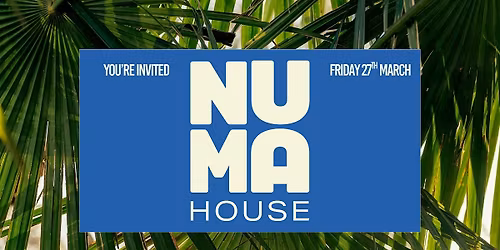 Numa House Launch Party