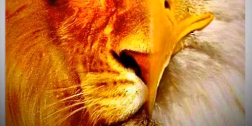 FRIDAY NIGHT FORTRESS Family Meal: Bring a Dish to Share!