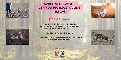 WARSZTATY TROPIENIA U\u017bYTKOWEGO | MANTRAILING | ELBL\u0104G