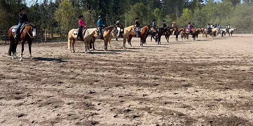Wacker Performance Horses 17th Annual Open Horse Show