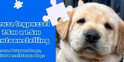 Reuze legpuzzel van 7,5m x 1,5m tentoonstelling t.v.v. Purpose Dogs  \ud83d\udc99