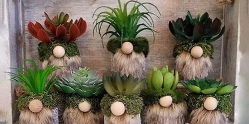 Succulent Gnome Class at VFW Frederick