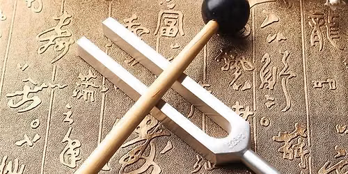 Tuning fork therapy group