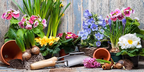 A brief history of garden design - 4000 years in 60 minutes - Helen Milne