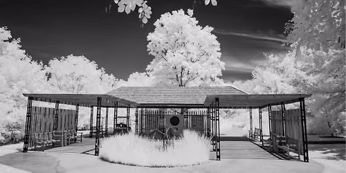 Monochrome Photography Workshop
