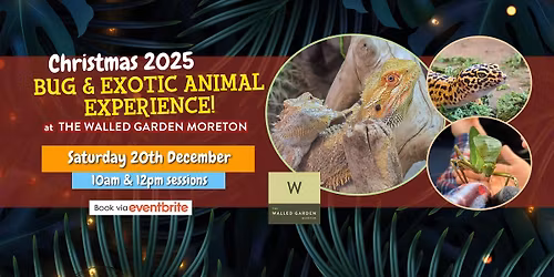 Christmas Bug and Exotic Animal Experience at The Walled Garden!