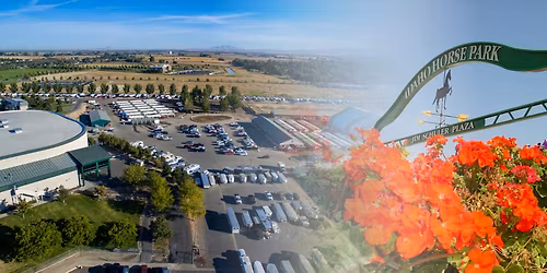 Parking Shuler King (18+)