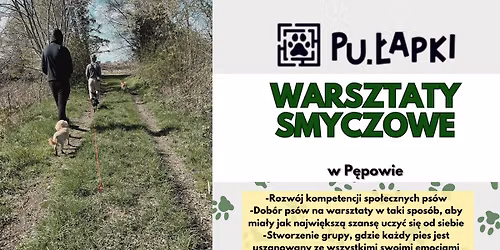 Pu\u0142apkowe warsztaty smyczowe w P\u0119powie