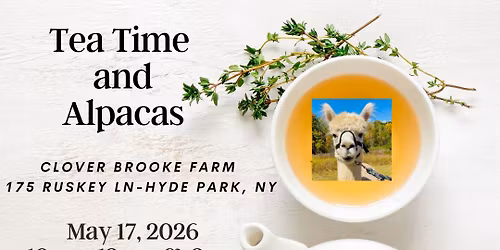 Tea Time with Llamas & Alpacas