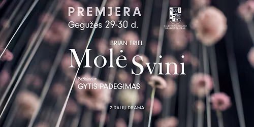V\u0160DT premjera | MOL\u0116 SVINI | re\u017e. Gytis Padegimas