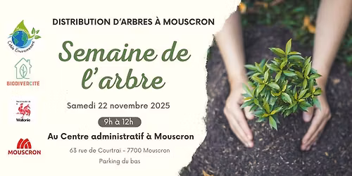 Distribution d'arbres à Mouscron