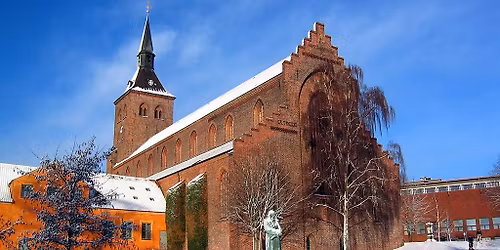 Nordatlantisk julekoncert i Odense Domkirke
