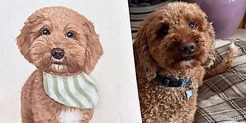 Paint Your Pet Workshop - Paint, Sip & Connect