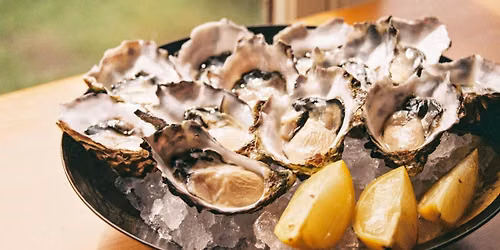 $1 Oyster Thursday. A New Heights Experience...