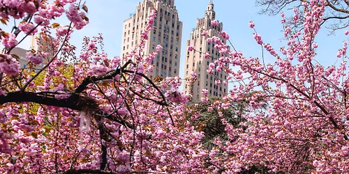 NYC Women\u2019s Getaway | Spring 2026 Edition