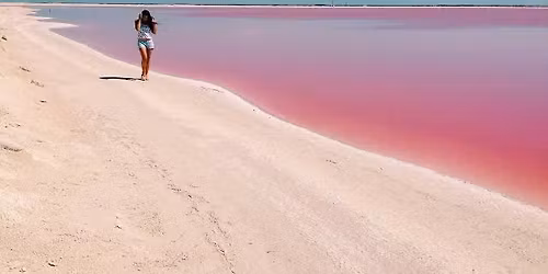 Maravillas y colores del sur\ud83c\udfd6\ufe0f\ud83e\udda9