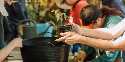 Gamble Plant Sale