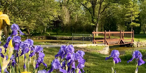 Dhamma Pakasa Friends and Family Day