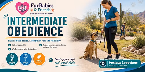 Intermediate Obedience Dog Training Class - 6 Weeks - 1 Hour - $250 - 9\/19\/26 - 10am