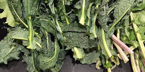 Nourishing the Neighborhood: Kale for the Young at Heart