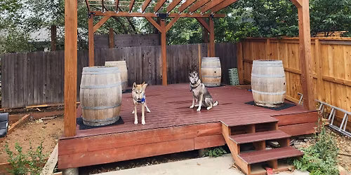 Howlin' Wolfpick Memorial Sunday Funday Musical Showcase