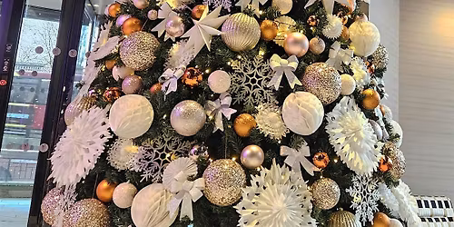 Joint Christmas Party Night