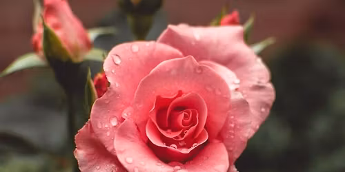 Seasonal Ritual Circle - Samhain