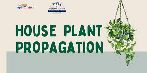 Master Gardeners Present: House Plant Propagation