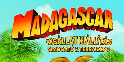 \ud83d\udc3eMADAGASCAR KIS\u00c1LLAT KI\u00c1LL\u00cdT\u00c1S \ud83c\udf1fESZTERGOM