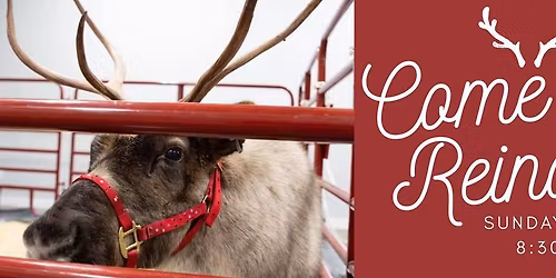 Reindeer Sunday