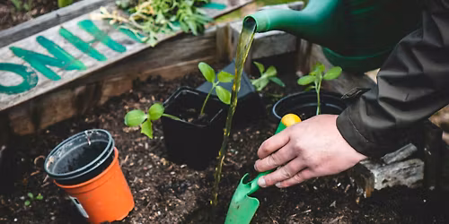 Intro to Gardening 1: Starting your First Garden