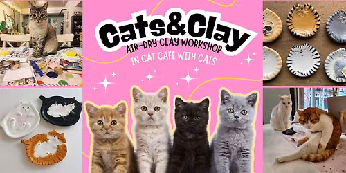 Cats&Clay - clay workshop in cat cafe with cats - Tilburg