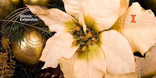 Green Connections: End of Year Celebration