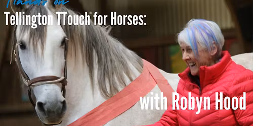 Tellington TTouch for Horses: Hands-on with Robyn Hood