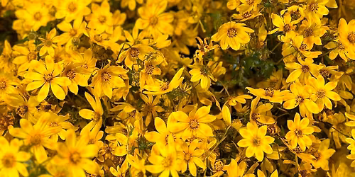 Partner\u2019s Content 